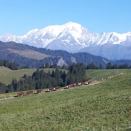 La Canopée * La Giettaz