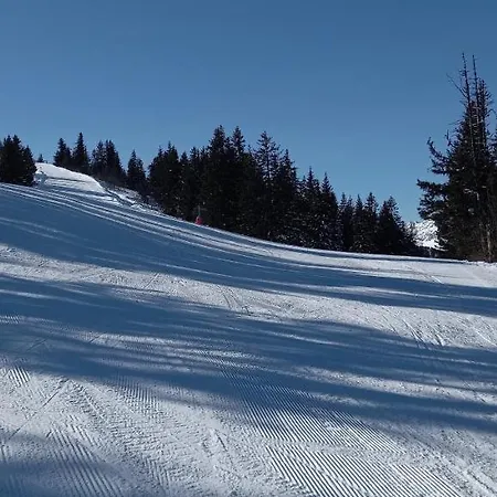 La Canopée Chalet *